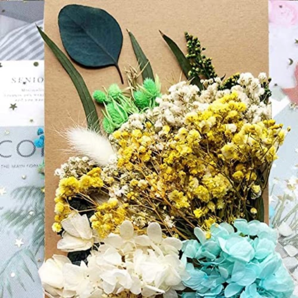 Real Dried Pressed Flowers Leaves for DIY Craft